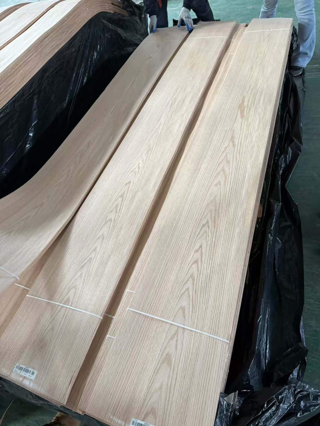 american red oak crown