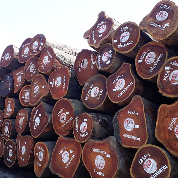 Logs