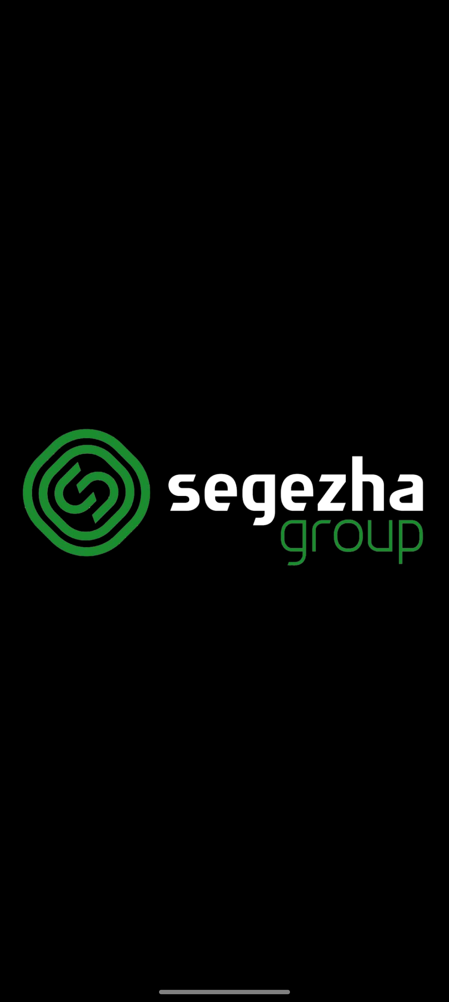 Segezha group