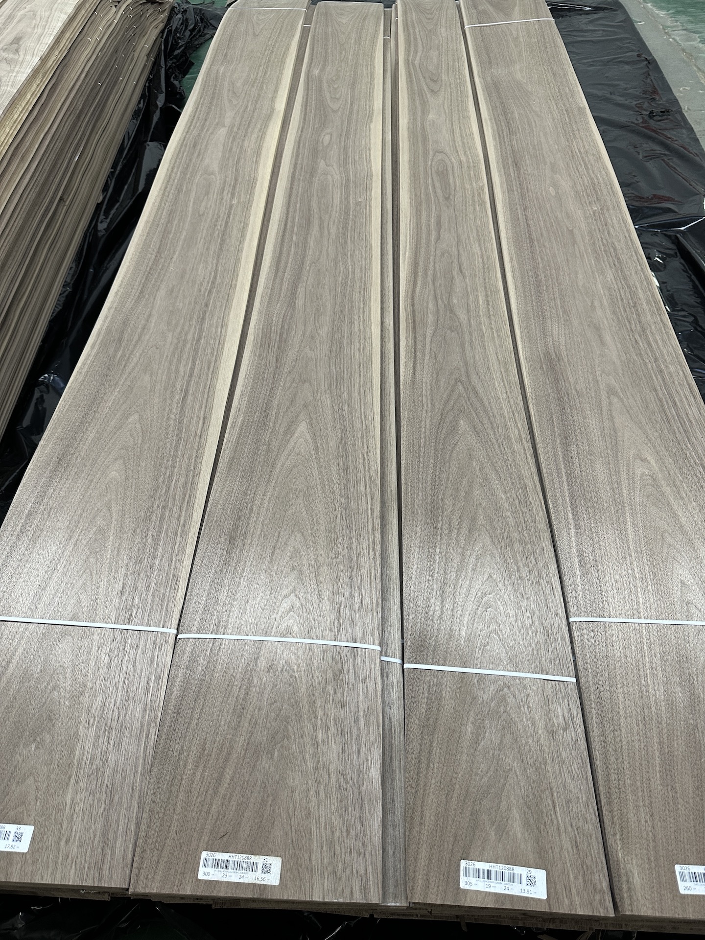 american walnut crown