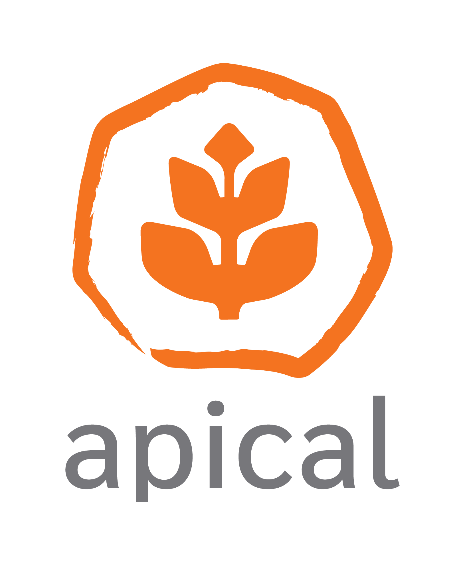 APICAL Reforestadora, S. de R.L.