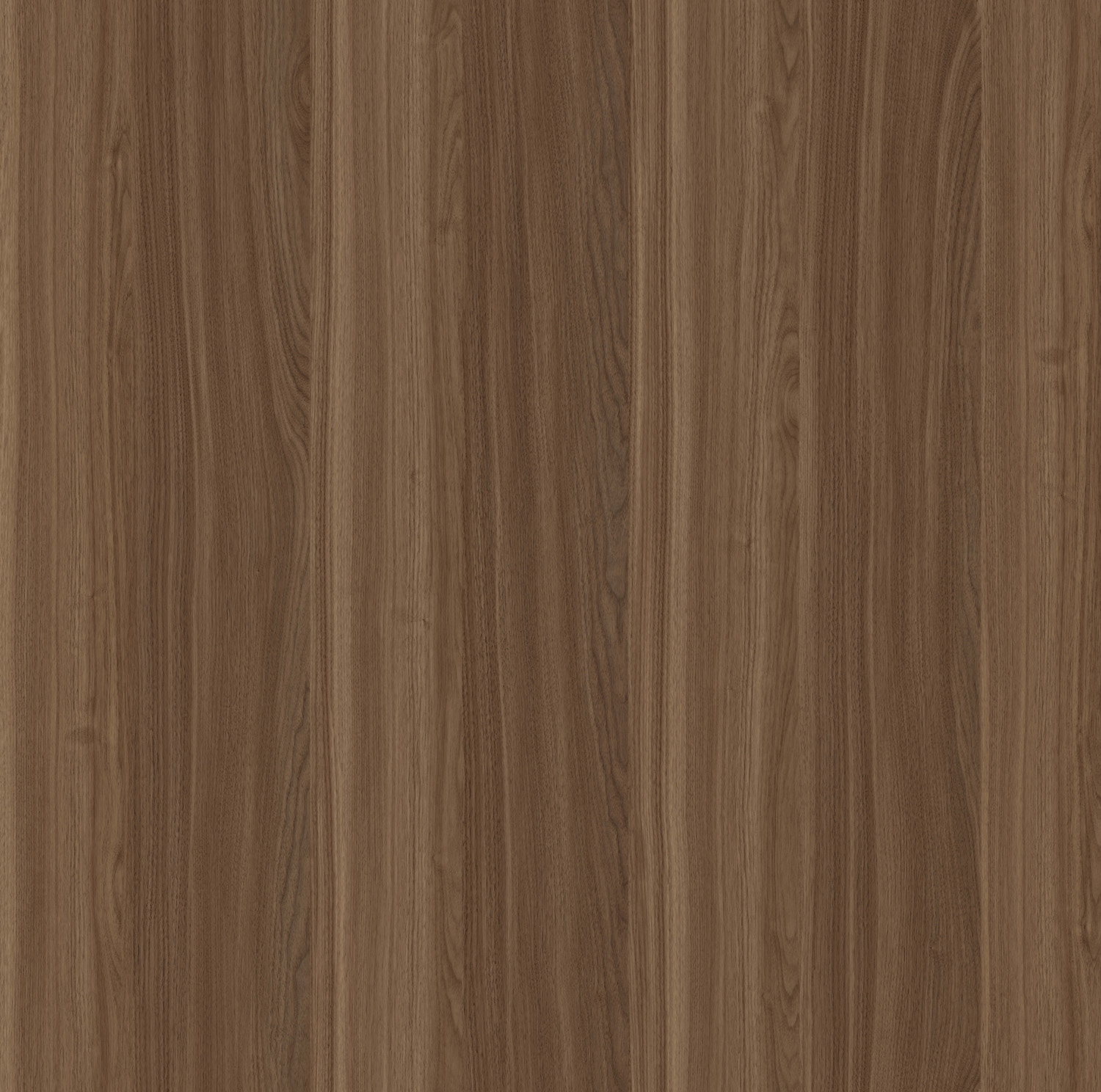 SUNNY WALNUT