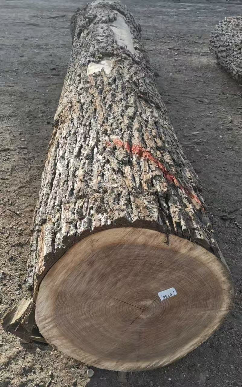 Walnut Veneer Log