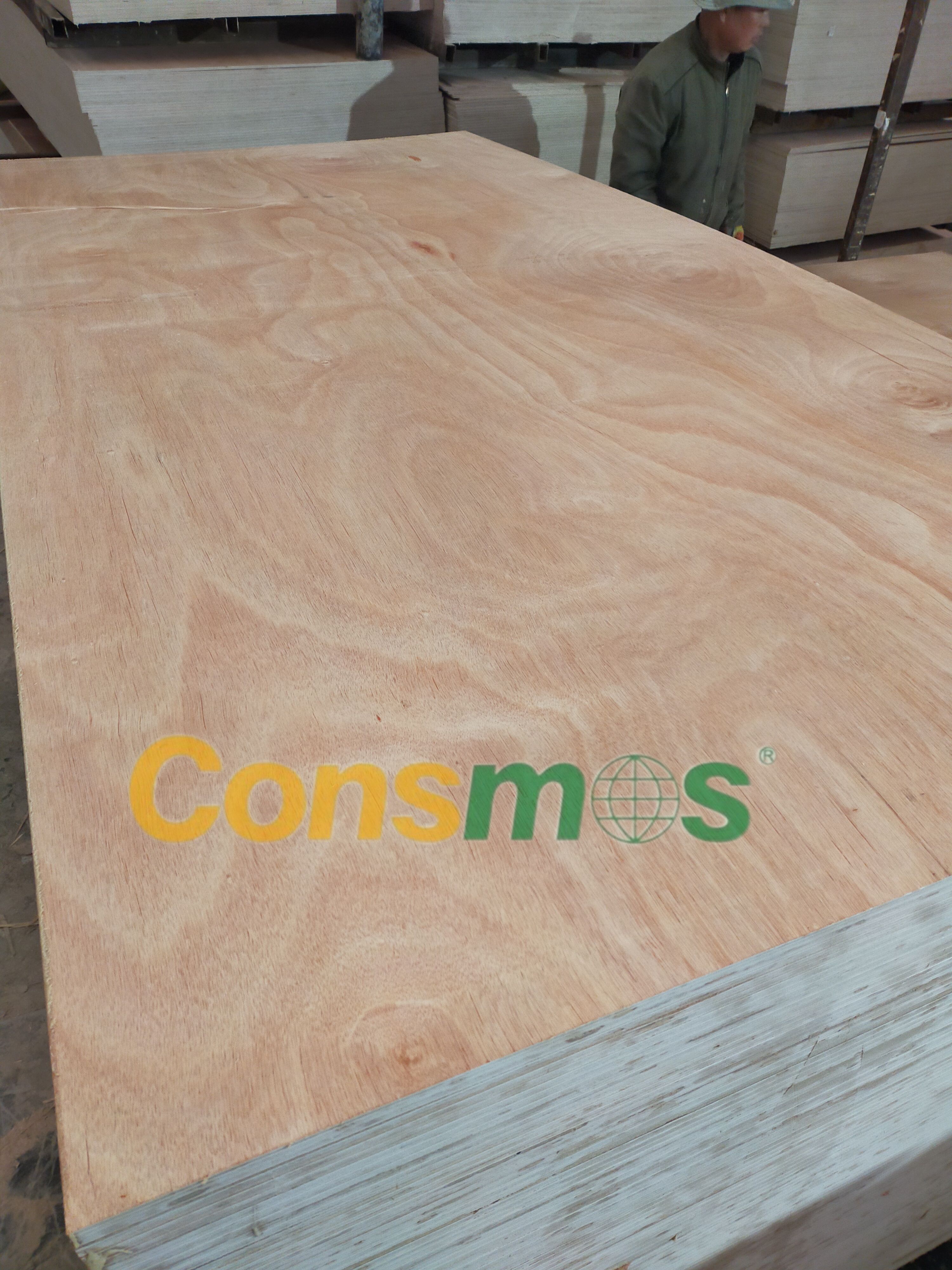 COMMERCIAL PLYWOOD
