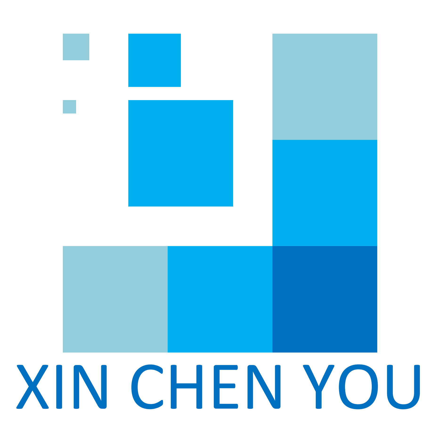 SUQIAN XINCHENYOU INTERNATIONAL TRADING CO., LTD.