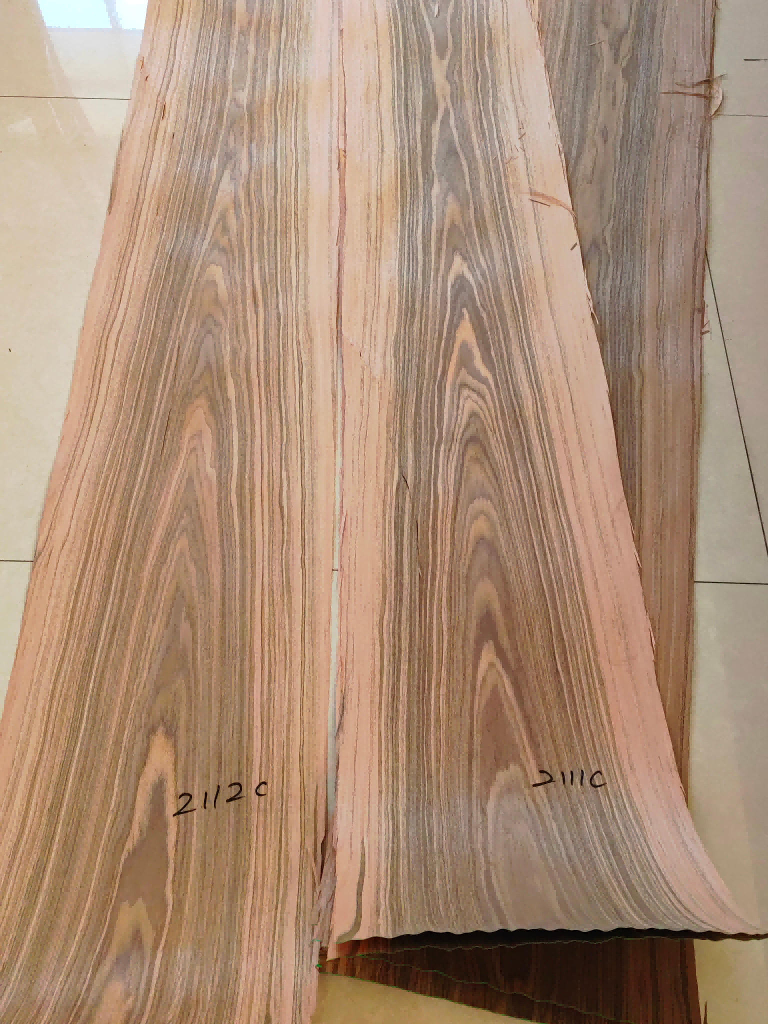 Engineered Walnut