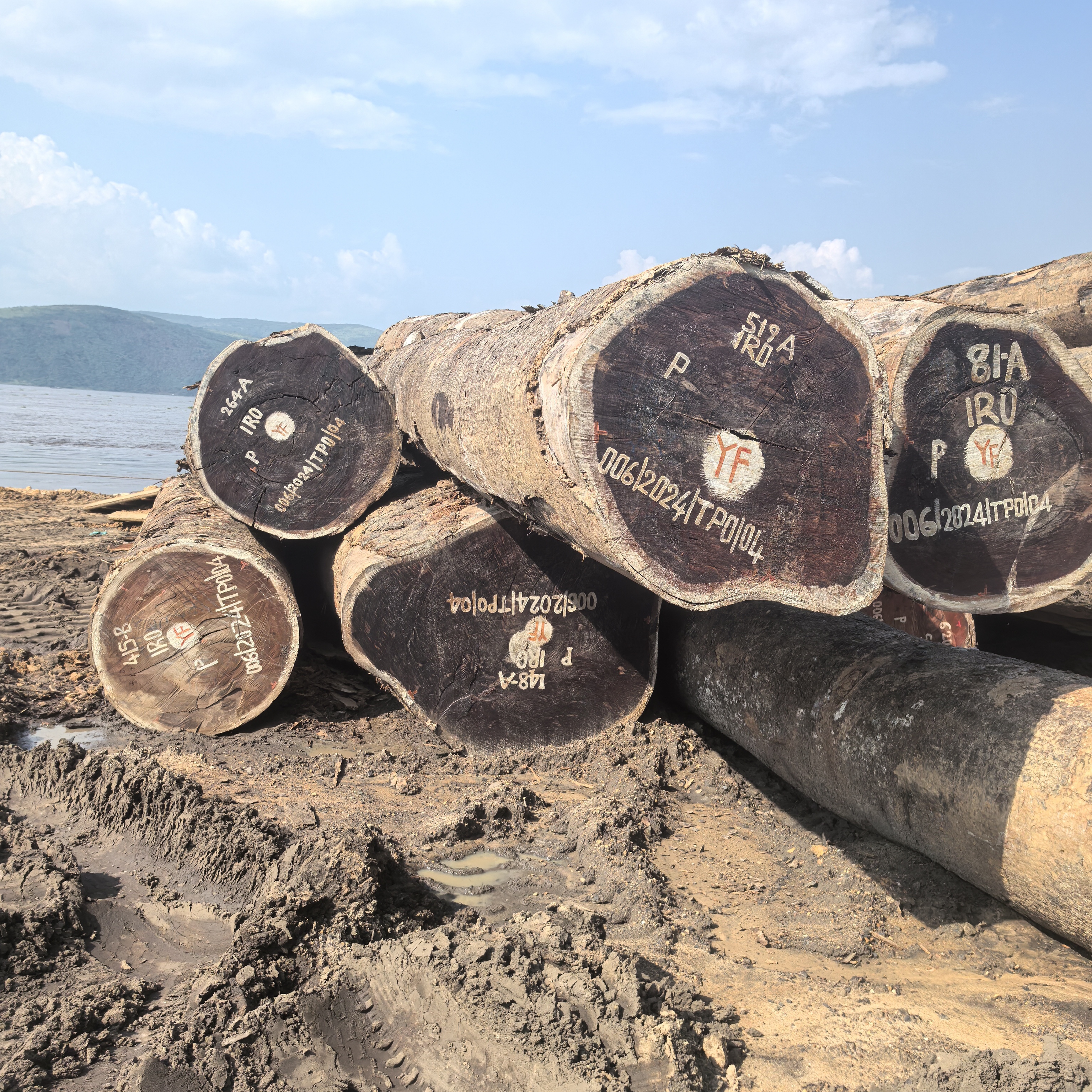 iroko round logs