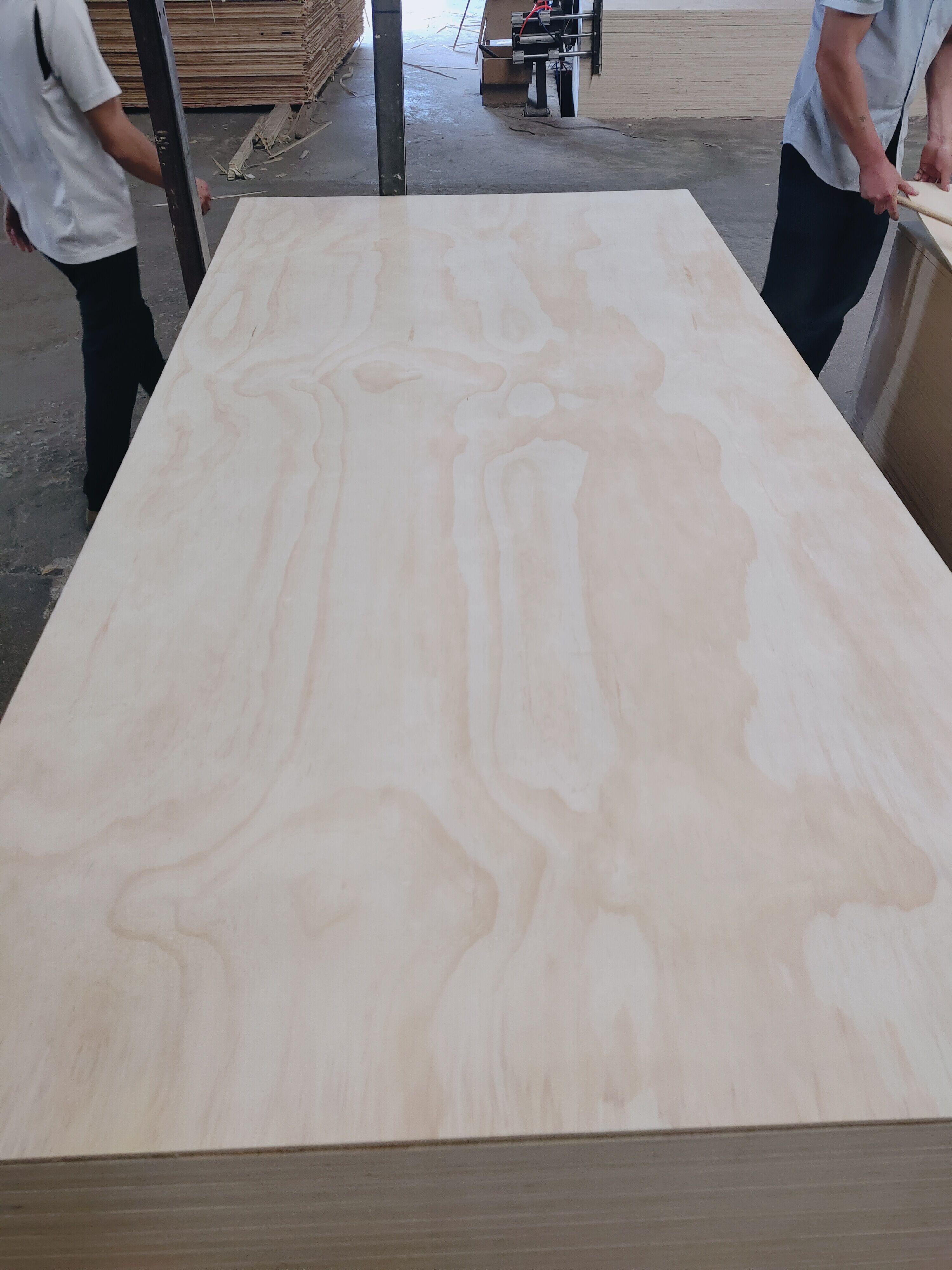 PINE PLYWOOD