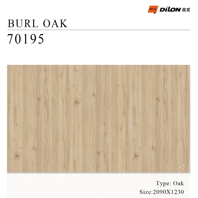 70195 Burano Oak