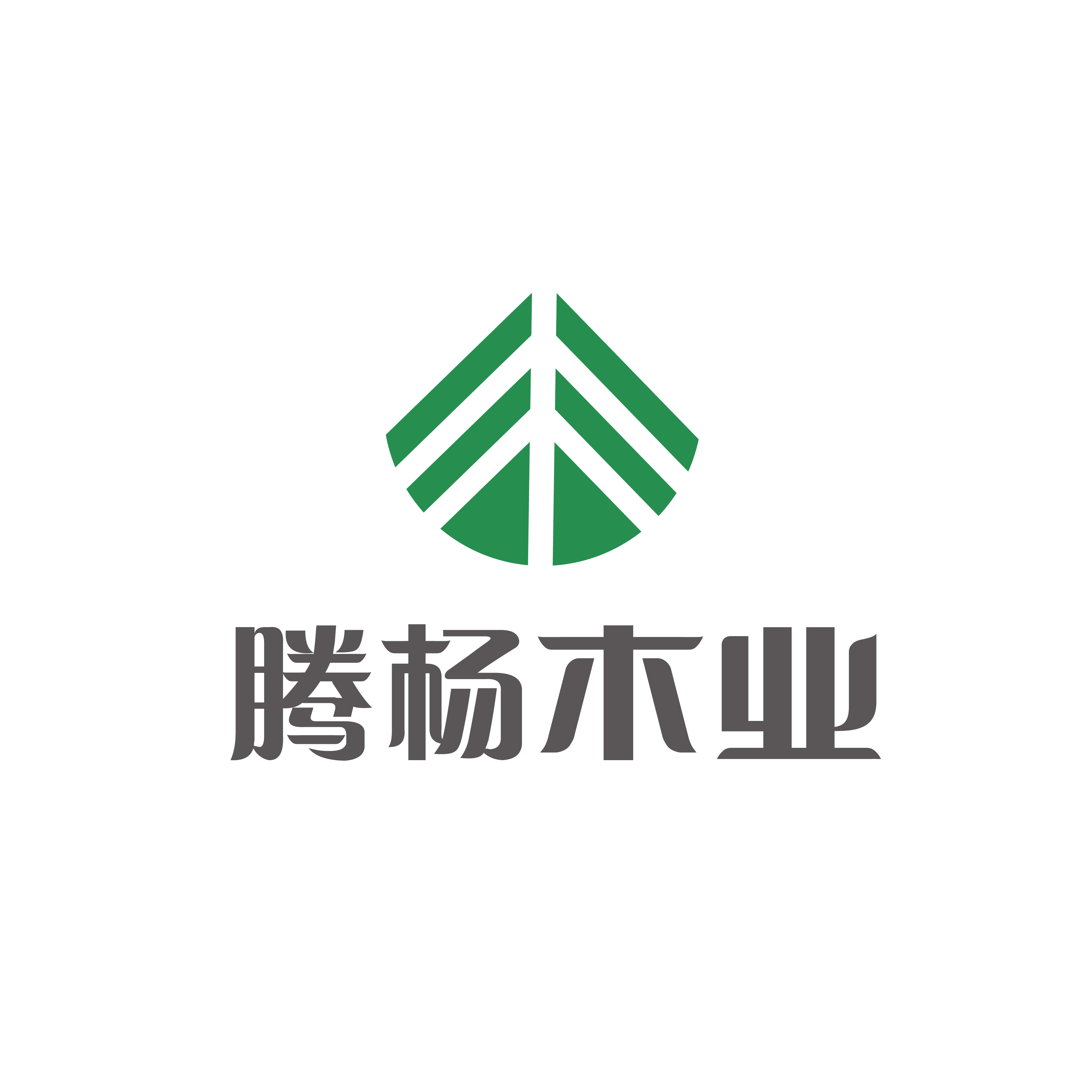 JiaShan TengYang Wood Industry Co.,Ltd