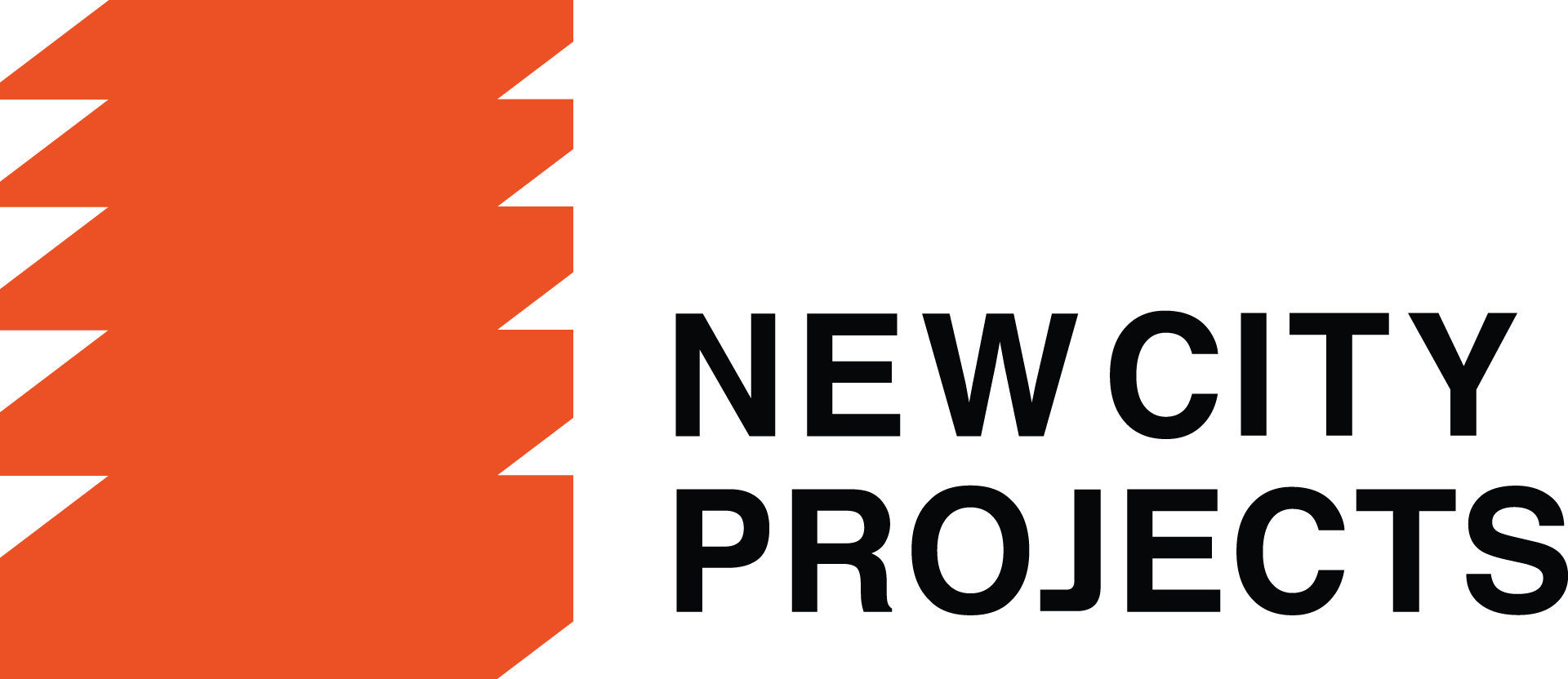 New City Projects LLC