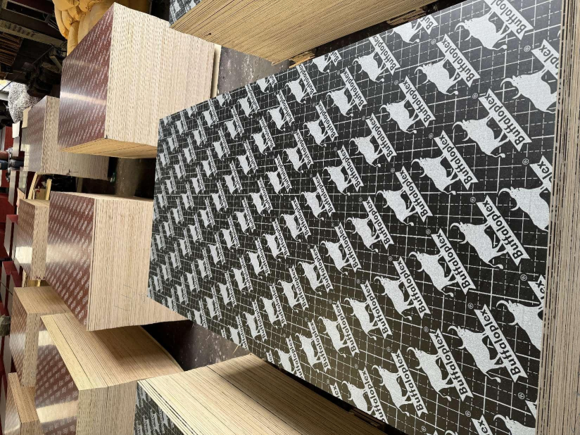 FILM FACED PLYWOOD