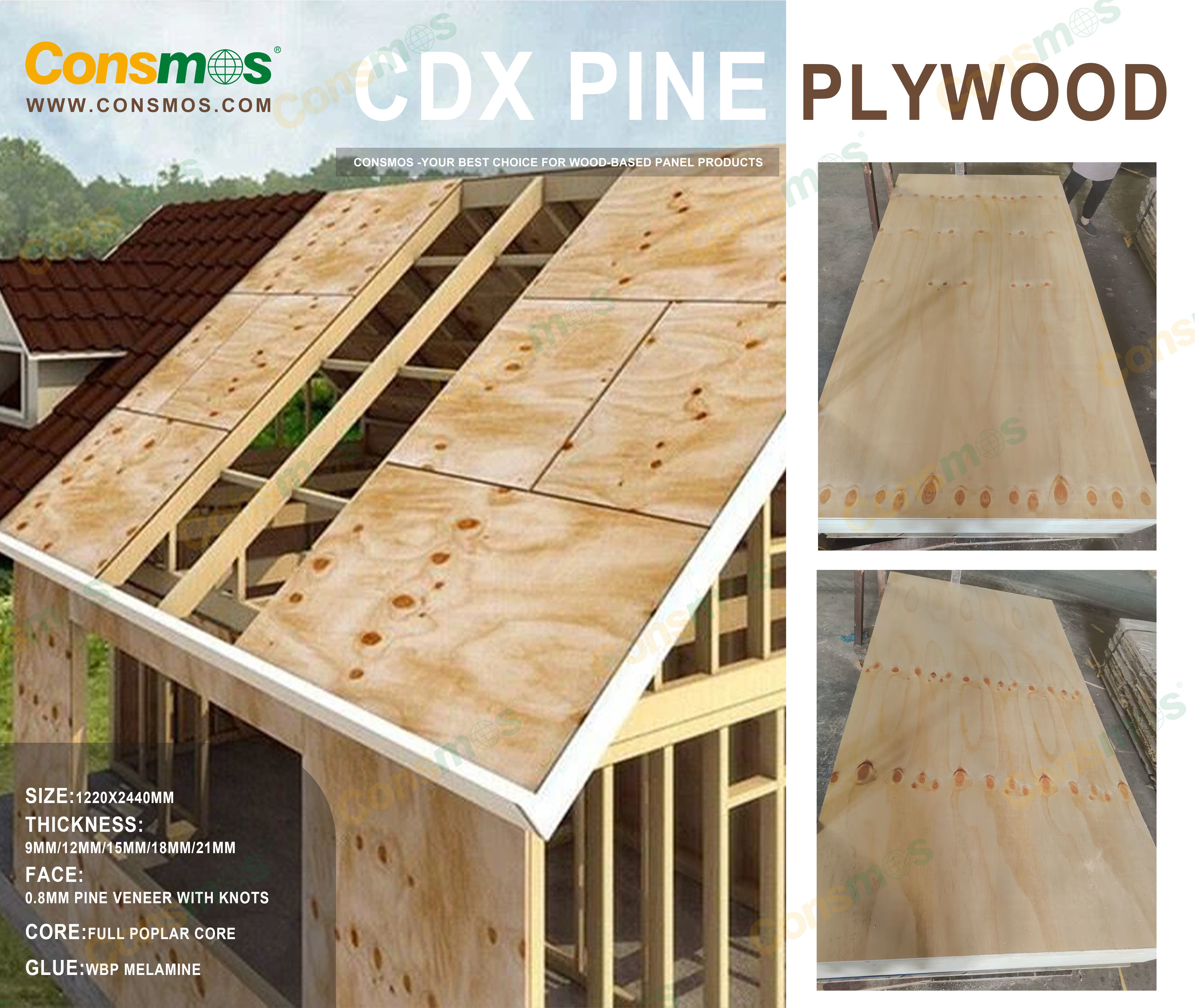 CDX PINE PLYWOOD