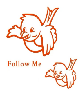 SHANDONG BENBEN BIRD WOOD CO.,LTD
