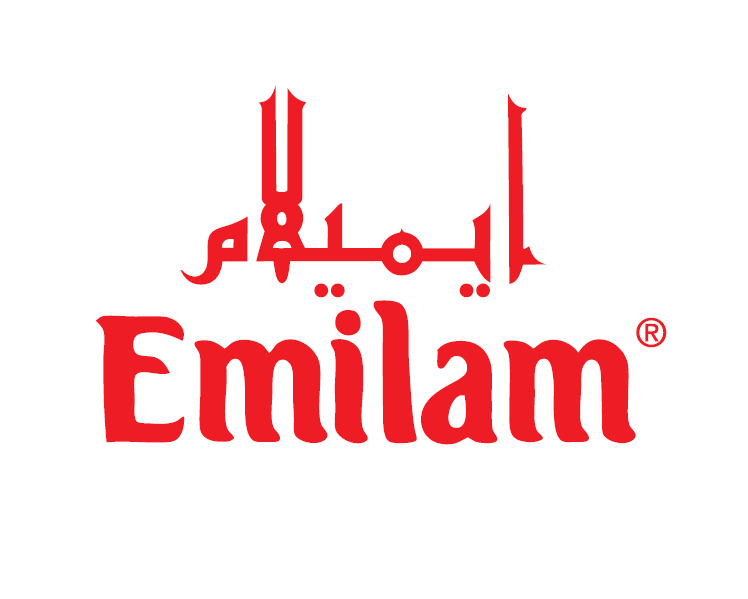 EMILAM INDUSTRIES LLC