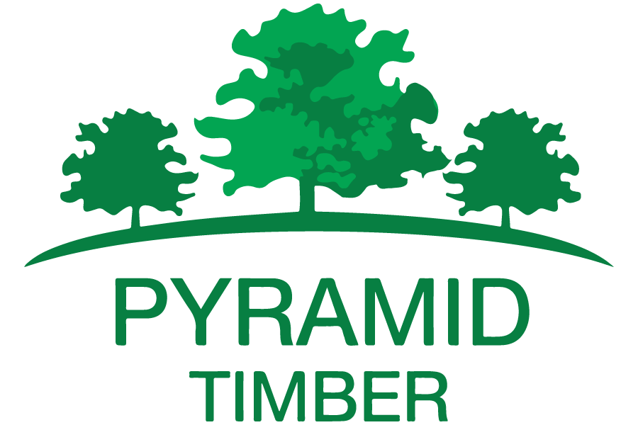 PYRAMID TIMBER INDUSTRIES PVT LTD