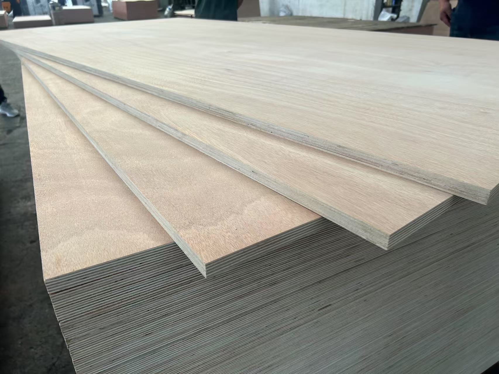 Okoume Plywood
