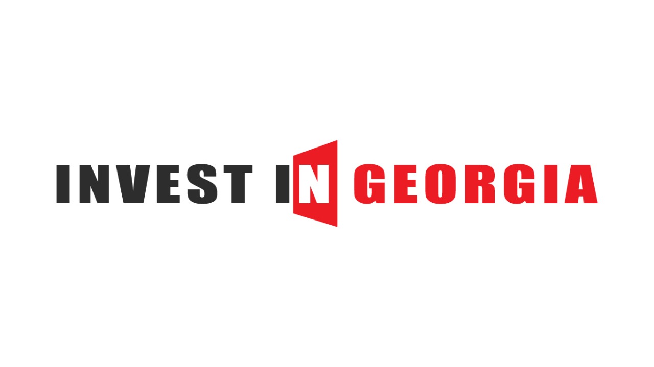 Invest in georgia LLC